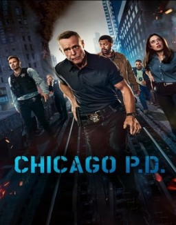 Chicago Police Department saison 12