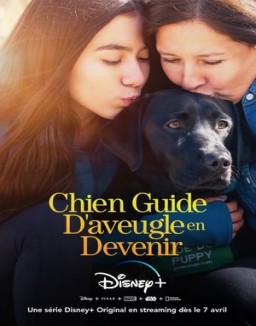 Chien Guide D'aveugle en Devenir saison 1