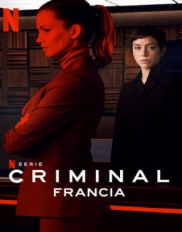 Criminal: France saison 1