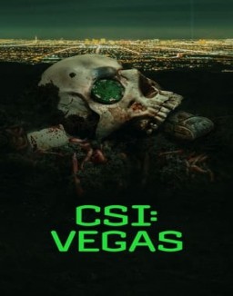 CSI: Vegas saison 1