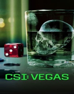 CSI: Vegas saison 3