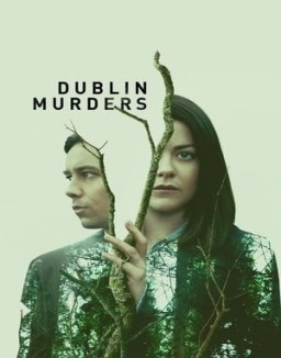 Dublin Murders saison 1