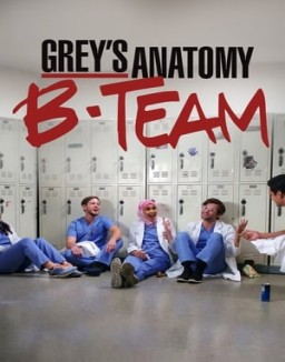 Grey's Anatomy - B-Team saison 1