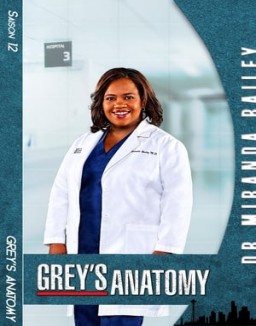 Grey's Anatomy saison 12