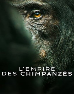 L'Empire des chimpanzés saison 1