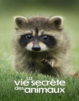 La Vie secrète des animaux saison 1