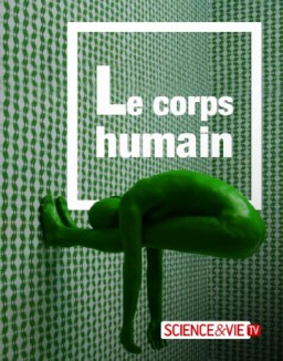 Le corps humain saison 1