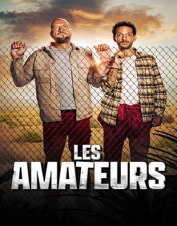 Les Amateurs