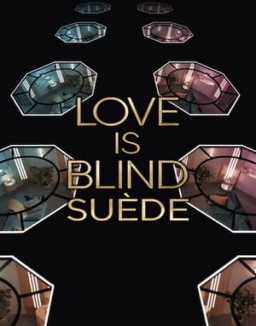 Love Is Blind : Suède saison 1