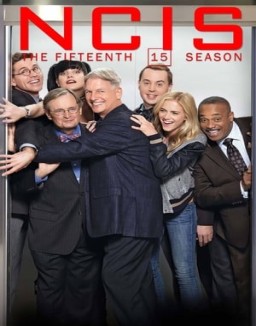 NCIS : Enquêtes Spéciales saison 15