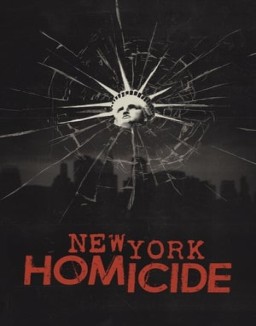 New York Homicide saison 1