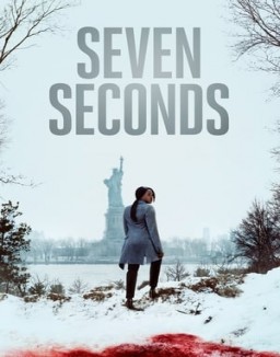 Seven Seconds saison 1