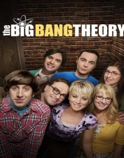 The Big Bang Theory saison 8