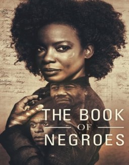 The Book of Negroes saison 1