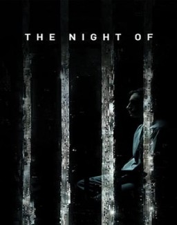 The Night Of saison 1