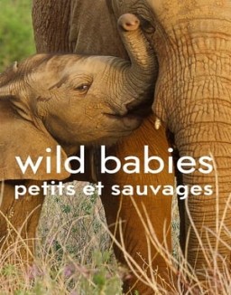 Wild Babies : Petits et Sauvages saison 1