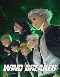 WIND BREAKER saison 1